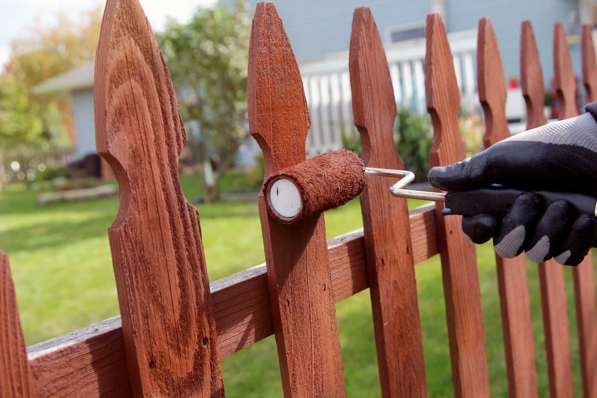 Fence Painting